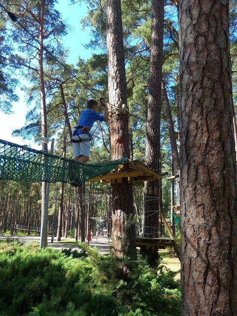 Dzintaru Mezaparks
