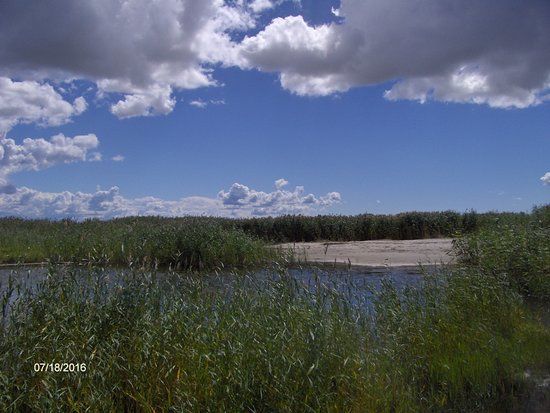 Parnu Coastal Meadow Protection Area