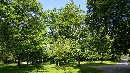 Kurpark Warnemünde