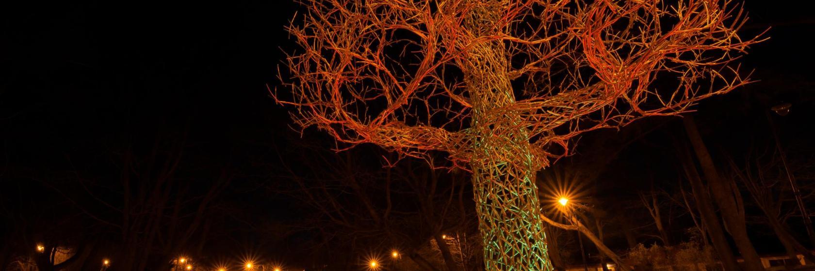 Ghost Tree