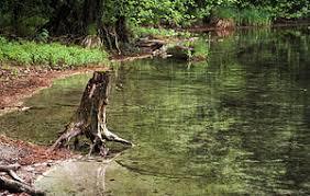 Garrensee