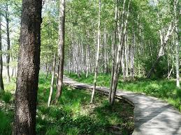 Lielezers nature trail