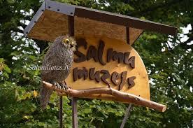Salmu muzejs