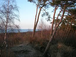 Kamelhöhe