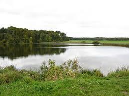 der Schwarzer See