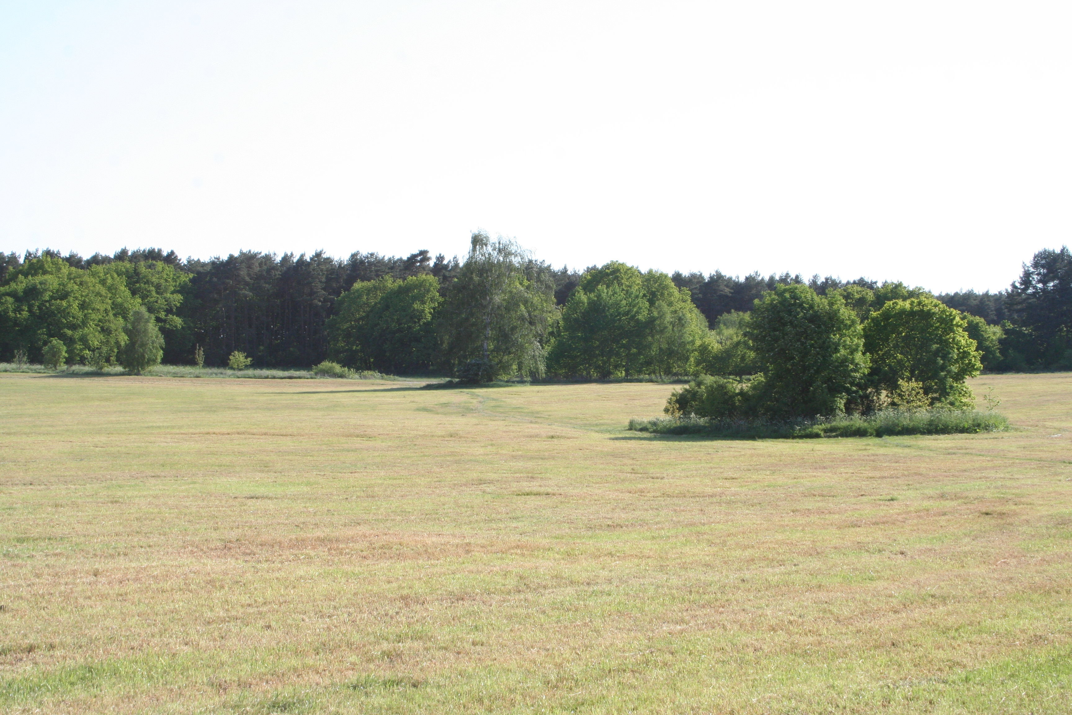 Grosssteingraber bei Burtevitz
