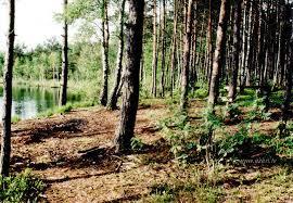 Stunisu ezers