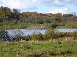 der Hochfelder See