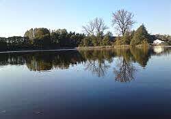 der Selliner See